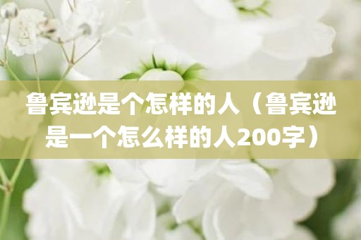 鲁宾逊是个怎样的人（鲁宾逊是一个怎么样的人200字）