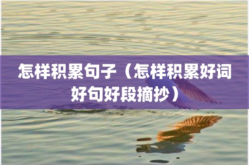怎样积累句子（怎样积累好词好句好段摘抄）
