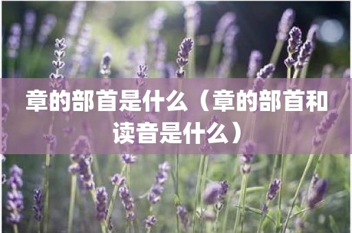 章的部首是什么（章的部首和读音是什么）