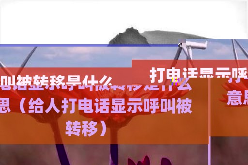 打电话显示呼叫被转移是什么意思（给人打电话显示呼叫被转移）