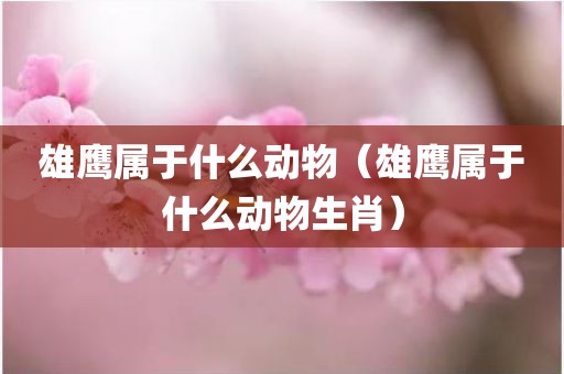 雄鹰属于什么动物（雄鹰属于什么动物生肖）