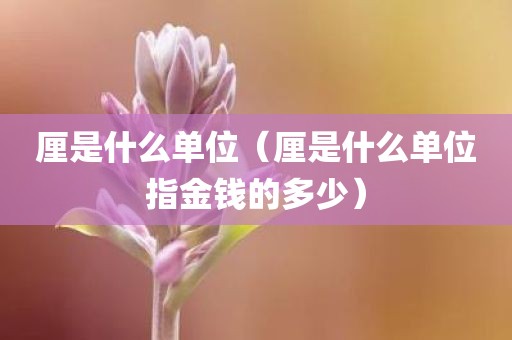 厘是什么单位（厘是什么单位指金钱的多少）