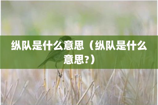 纵队是什么意思（纵队是什么意思?）