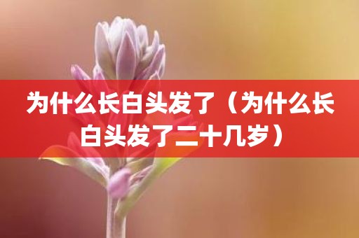 为什么长白头发了（为什么长白头发了二十几岁）