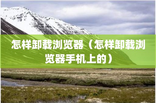 怎样卸载浏览器（怎样卸载浏览器手机上的）