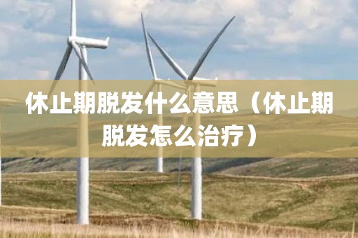 休止期脱发什么意思（休止期脱发怎么治疗）