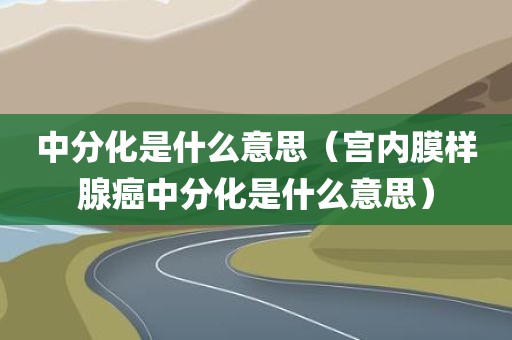 中分化是什么意思（宫内膜样腺癌中分化是什么意思）