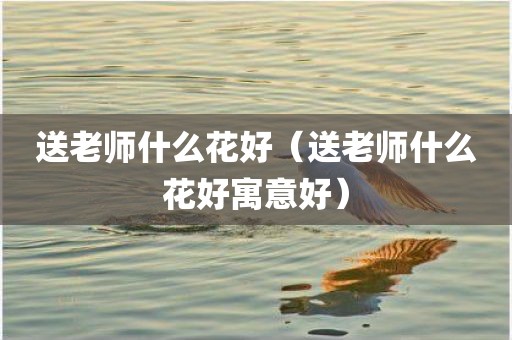 送老师什么花好（送老师什么花好寓意好）