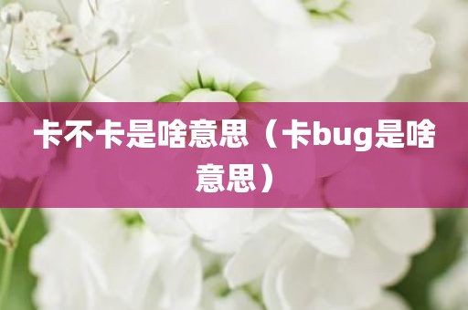 卡不卡是啥意思（卡bug是啥意思）