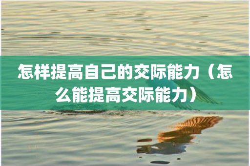 怎样提高自己的交际能力（怎么能提高交际能力）