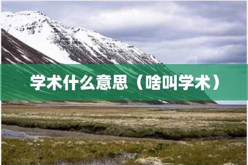 学术什么意思（啥叫学术）