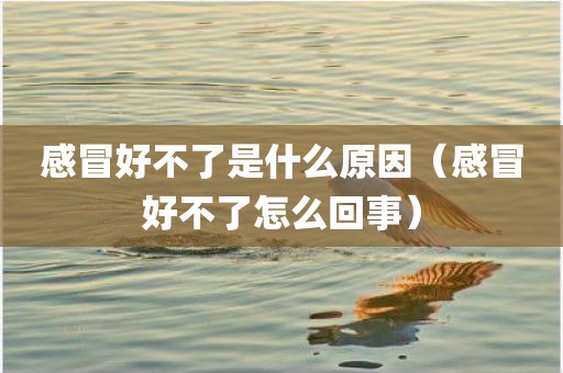 感冒好不了是什么原因(感冒好不了怎么回事)