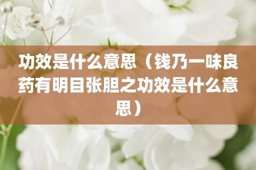 功效是什么意思（钱乃一味良药有明目张胆之功效是什么意思）