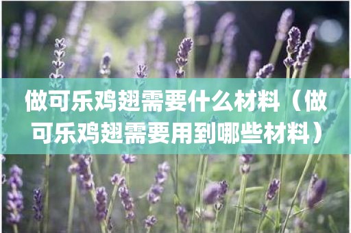 做可乐鸡翅需要什么材料（做可乐鸡翅需要用到哪些材料）