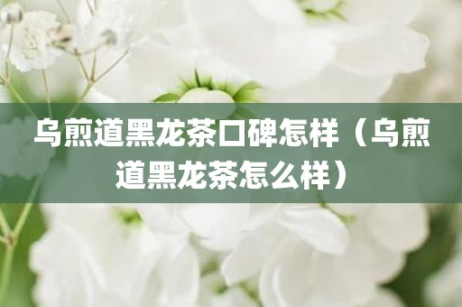 乌煎道黑龙茶口碑怎样（乌煎道黑龙茶怎么样）