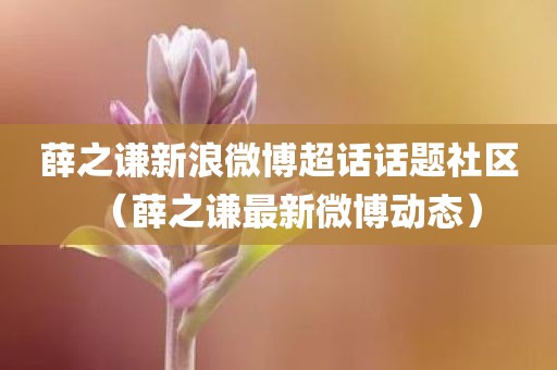薛之谦新浪微博超话话题社区（薛之谦最新微博动态）