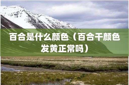 百合是什么颜色（百合干颜色发黄正常吗）