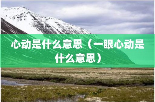 心动是什么意思（一眼心动是什么意思）