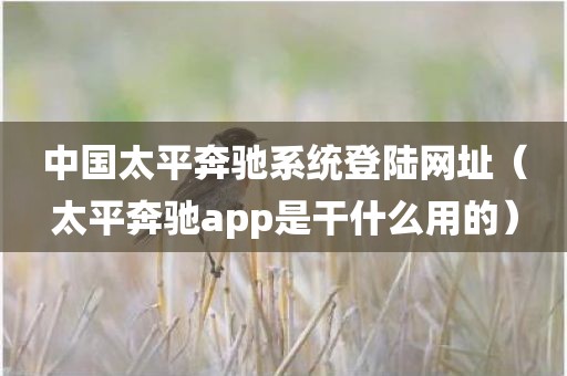 中国太平奔驰系统登陆网址（太平奔驰app是干什么用的）