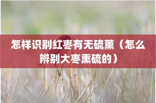 怎样识别红枣有无硫薰（怎么辨别大枣熏硫的）