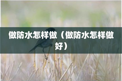 做防水怎样做（做防水怎样做好）