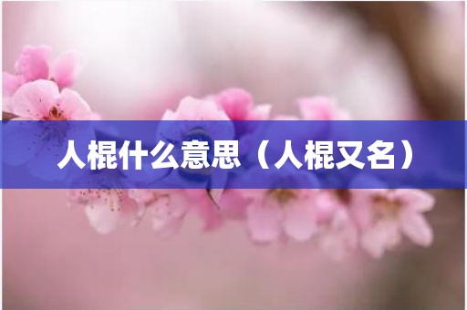 人棍什么意思（人棍又名）