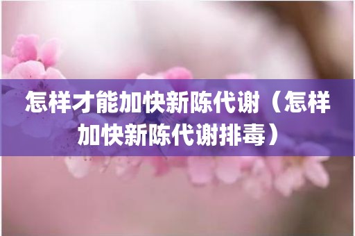 怎样才能加快新陈代谢（怎样加快新陈代谢排毒）