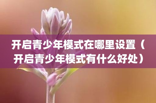 开启青少年模式在哪里设置（开启青少年模式有什么好处）