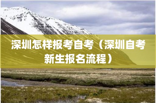 深圳怎样报考自考（深圳自考新生报名流程）