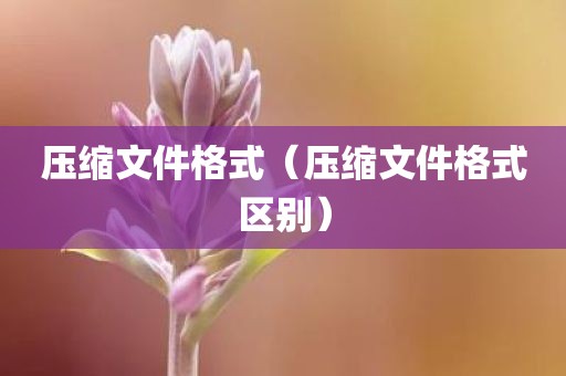 压缩文件格式（压缩文件格式区别）