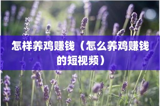 怎样养鸡赚钱（怎么养鸡赚钱的短视频）