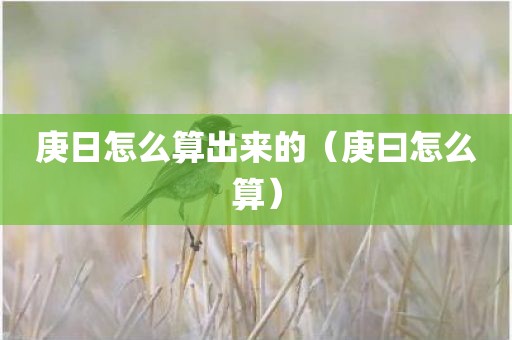 庚日怎么算出来的（庚曰怎么算）