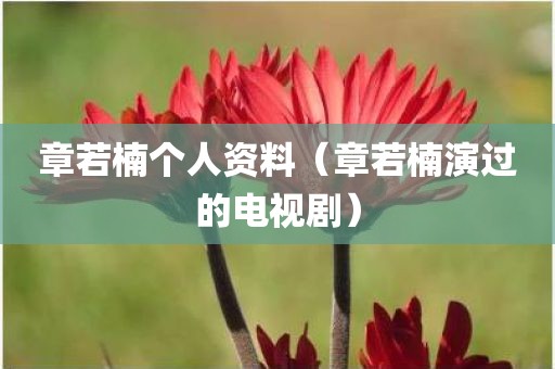 章若楠个人资料（章若楠演过的电视剧）