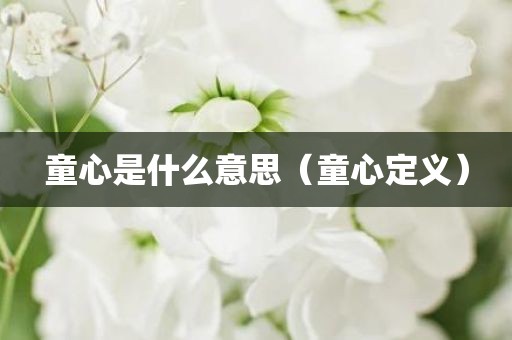 童心是什么意思（童心定义）