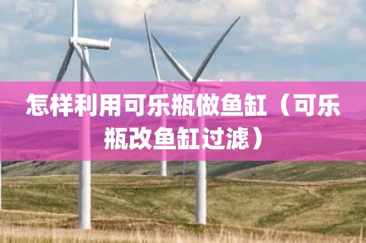 怎样利用可乐瓶做鱼缸（可乐瓶改鱼缸过滤）
