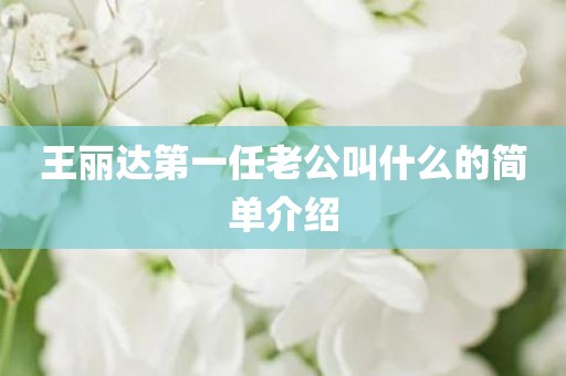 王丽达第一任老公叫什么的简单介绍