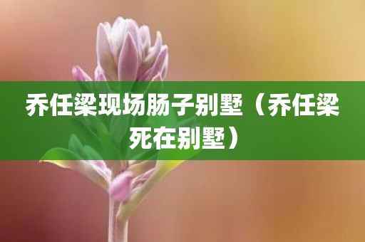 乔任梁现场肠子别墅（乔任梁死在别墅）