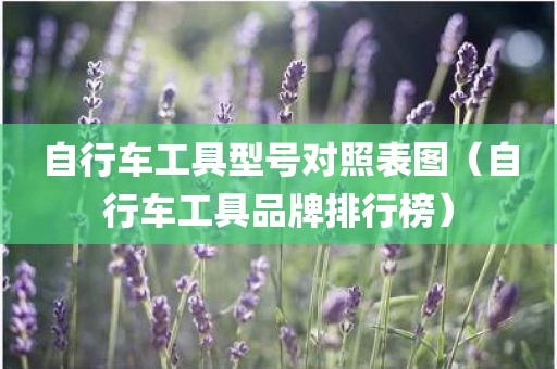 自行车工具型号对照表图（自行车工具品牌排行榜）