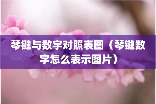 琴键与数字对照表图（琴键数字怎么表示图片）