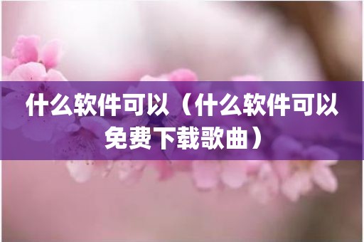 什么软件可以（什么软件可以免费下载歌曲）