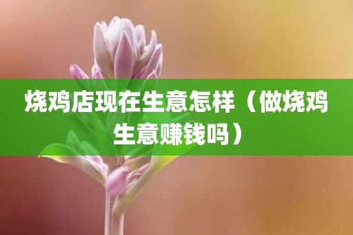 烧鸡店现在生意怎样（做烧鸡生意赚钱吗）