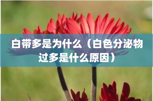 白带多是为什么（白色分泌物过多是什么原因）