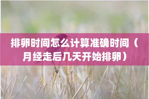 排卵时间怎么计算准确时间（月经走后几天开始排卵）