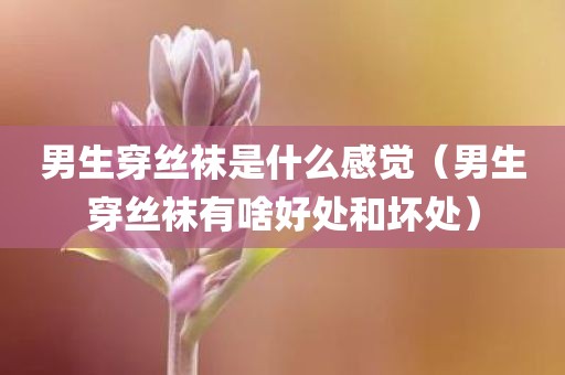 男生穿丝袜是什么感觉（男生穿丝袜有啥好处和坏处）