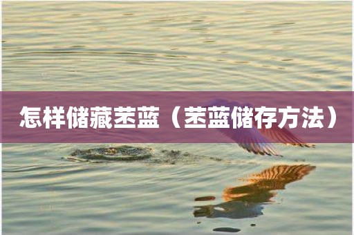 怎样储藏苤蓝（苤蓝储存方法）