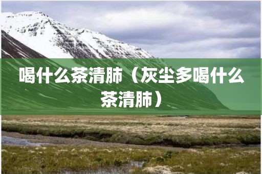 喝什么茶清肺（灰尘多喝什么茶清肺）