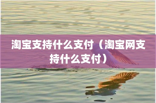 淘宝支持什么支付（淘宝网支持什么支付）