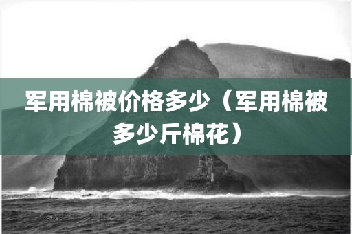 军用棉被价格多少(军用棉被多少斤棉花) 军用棉被价格多少(军用棉被多少斤棉花)