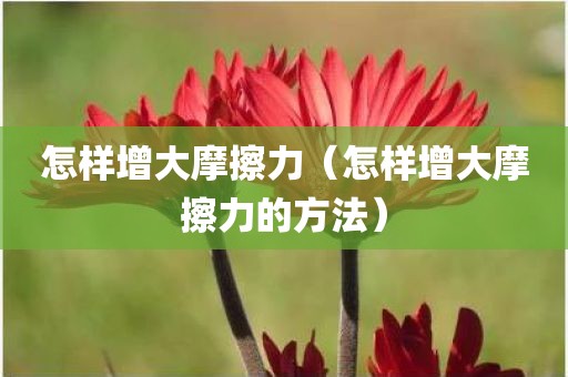 怎样增大摩擦力（怎样增大摩擦力的方法）