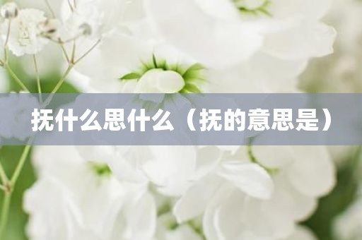 抚什么思什么（抚的意思是）